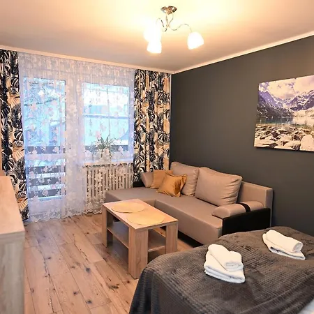 Niezapominajka Przy Krupowkach Apartzakop * זקופאנה