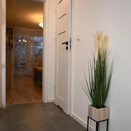 Niezapominajka Przy Krupowkach Apartzakop Apartment Zakopane